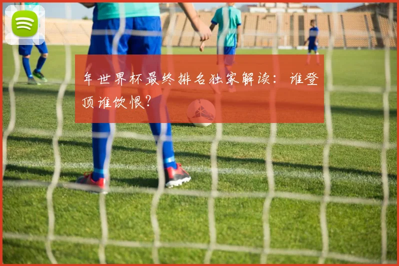 年世界杯最终排名独家解读：谁登顶谁饮恨？