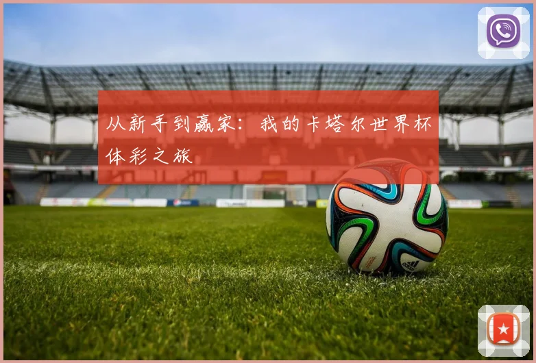 从新手到赢家：我的卡塔尔世界杯体彩之旅