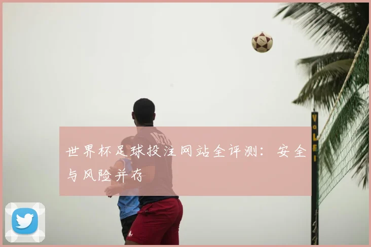 世界杯足球投注网站全评测:安全与风险并存