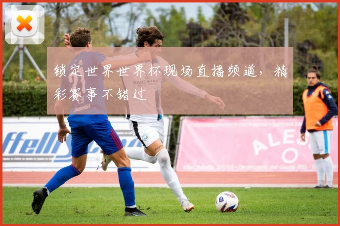 锁定世界世界杯现场直播频道，精彩赛事不错过