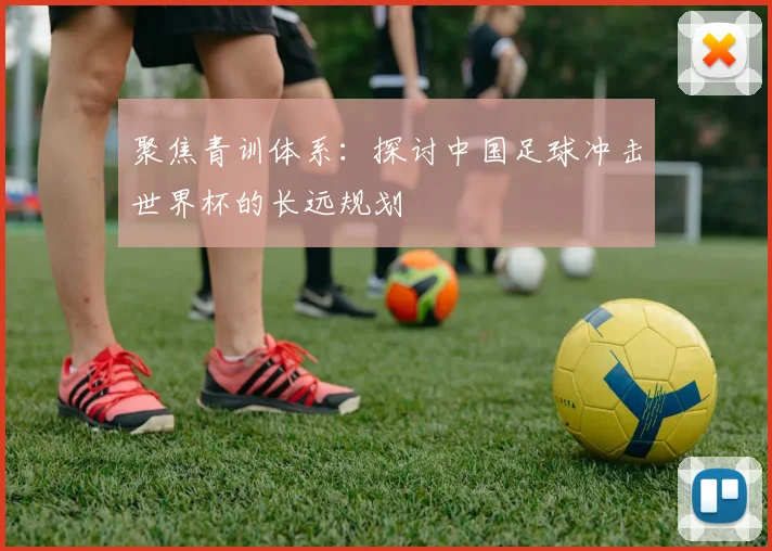聚焦青训体系：探讨中国足球冲击世界杯的长远规划